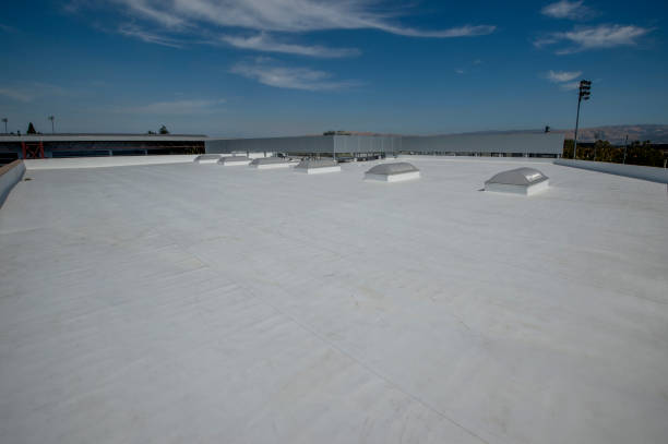 Best Rubber Roofing (EPDM, TPO)  in Black Jack, MO