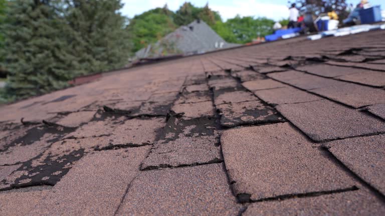 Best Asphalt Shingle Roofing  in Black Jack, MO