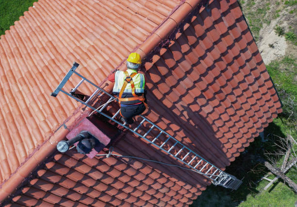 Best Roof Moss and Algae Removal  in Black Jack, MO