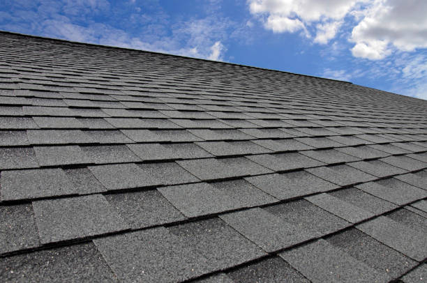 Best Roof Leak Repair  in Black Jack, MO